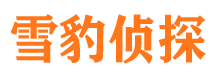 滨湖市私家侦探